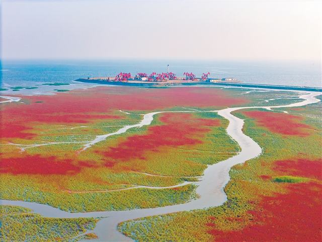 金海采油厂采油作业三区生产现场。.jpg