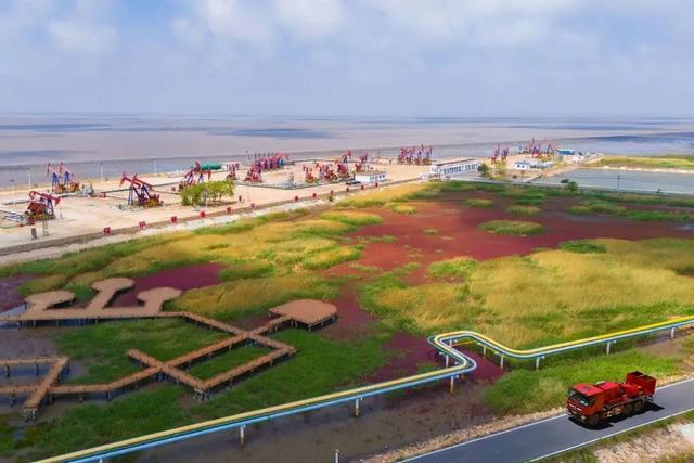 辽河油田.webp.jpg