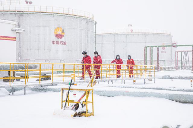 公司部门人员冒雪到总站生产现场解决一线站队在大雪天气里遇到的问题。.jpg