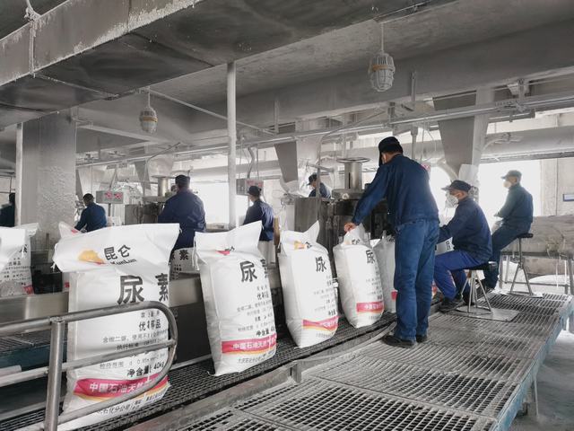 每一袋尿素都有自己的‘身份证’防伪编码，产品质量达到国家优质品标准.jpg