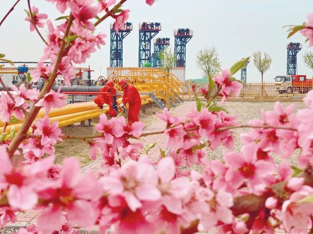 “简约而不简单”的花园式场站  张雯 摄.jpg