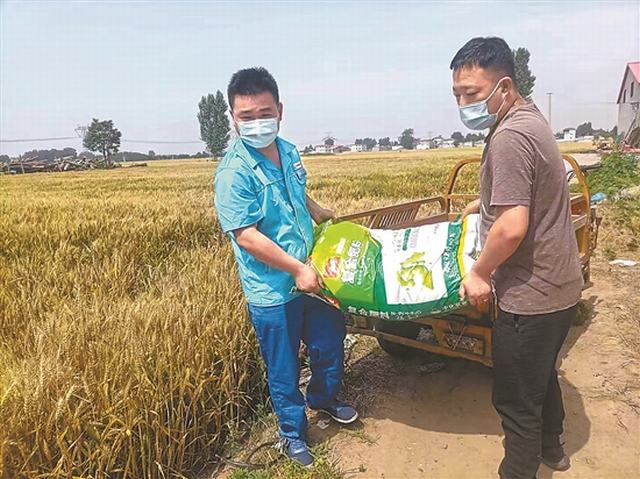 河北销售邯郸61站员工将夏种化肥送到用户田间地头。张秋颖 摄.jpg