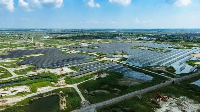 中国石油首个水面光伏项目在大庆油田并网发电1.jpg