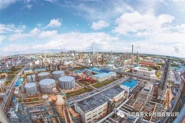大庆炼化.jpg