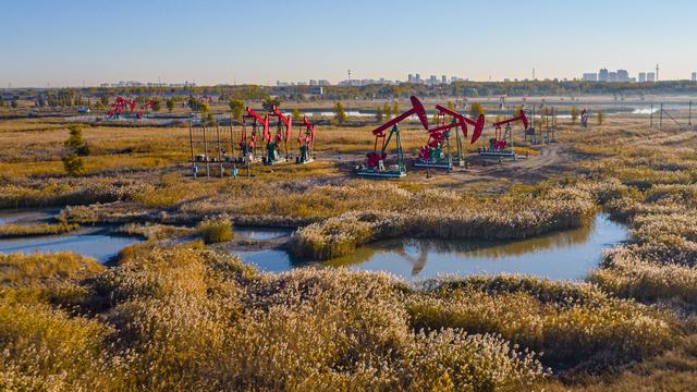 大庆油田采油生产现场1（韩京 摄）.jpg