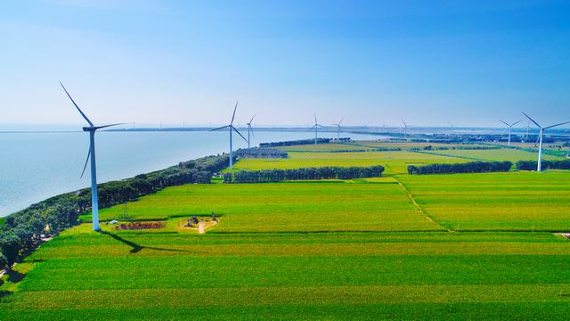DJI_0058.JPG
