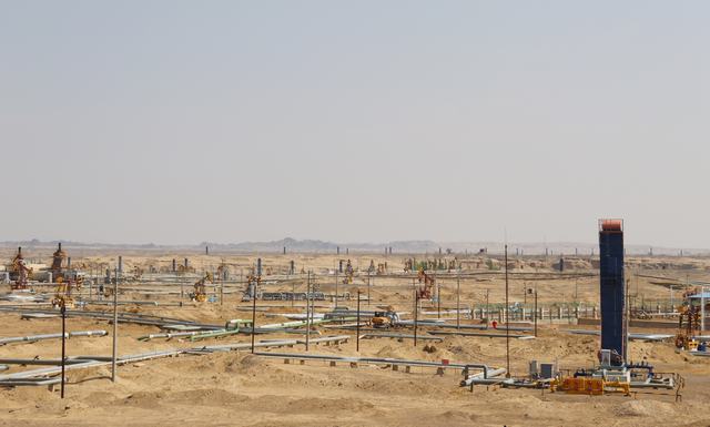 1701652382669091.jpg IMG_2631.JPG