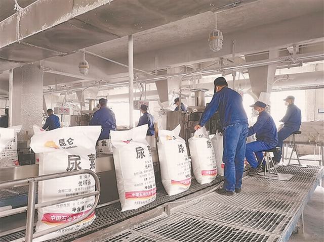 大庆石化：一码溯源 守护农资品质.jpg