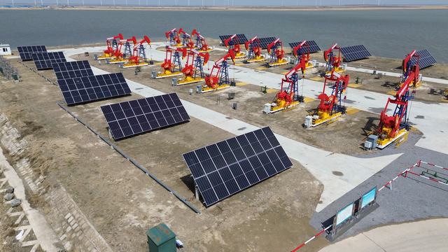 1717400417299339.jpg DJI_0050.JPG