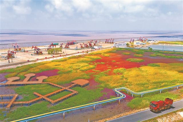 图为金海采油厂采油作业三区海南3号平台。              李浩 摄影报道e.jpg