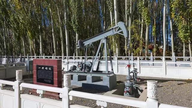 1731914917385650.jpg d1162a86-9945-46b5-85e2-306e8f0a754a.jpg