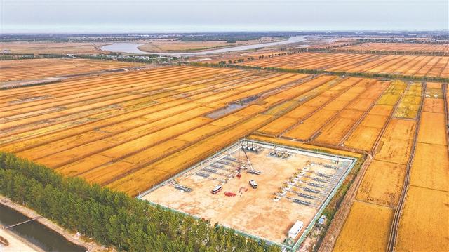 1732505149379034.jpg ①.jpg