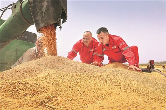 麦田亮党徽 先锋助农忙.jpg