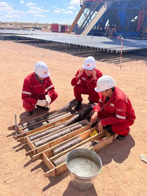 新疆陆梁油田作业区新三维初显效 新钻评价井陆170显示良好 (2).JPG