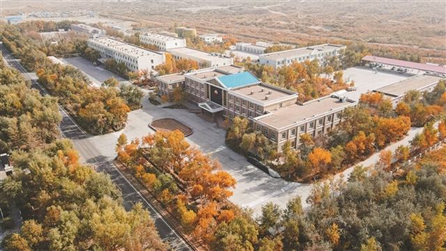 沙漠油田 秋色如画.jpg