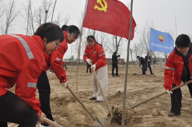 红装添绿 党旗领航.JPG